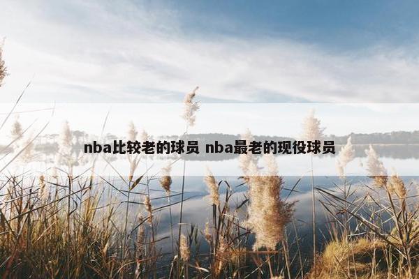 nba比较老的球员 nba最老的现役球员