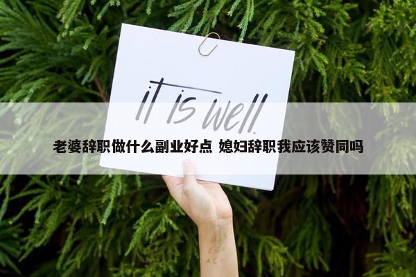 老婆辞职做什么副业好点 媳妇辞职我应该赞同吗