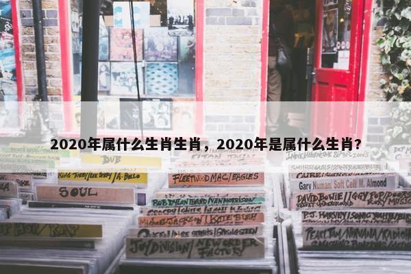 2020年属什么生肖生肖，2020年是属什么生肖?