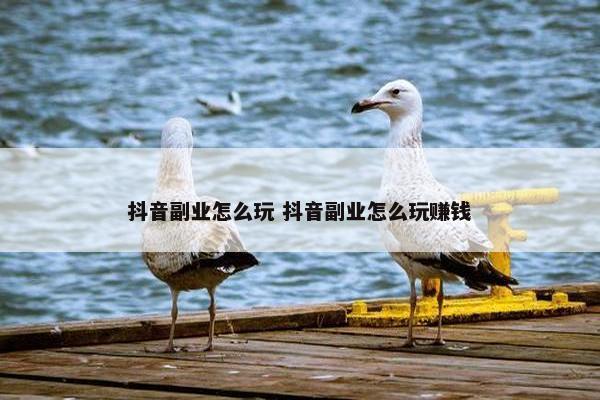 抖音副业怎么玩 抖音副业怎么玩赚钱