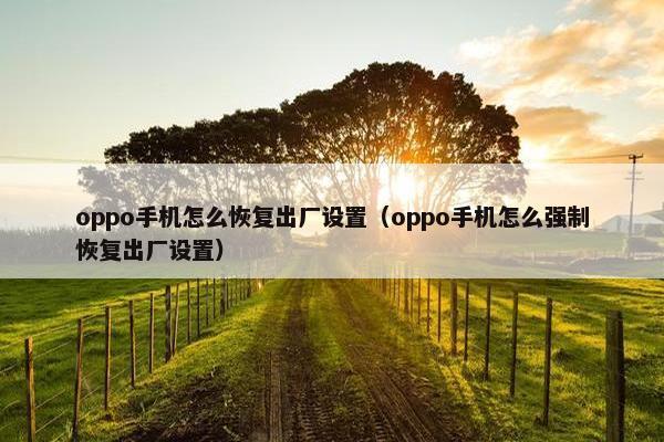 oppo手机怎么恢复出厂设置（oppo手机怎么强制恢复出厂设置）