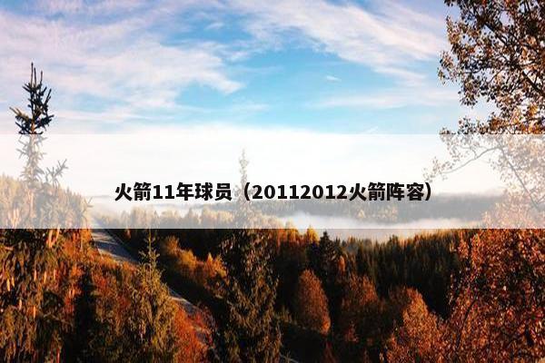 火箭11年球员（20112012火箭阵容）