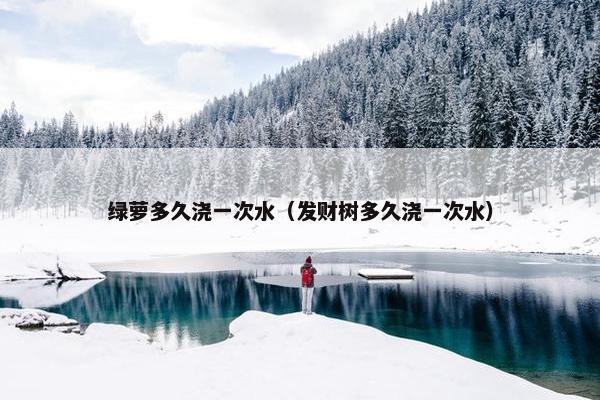 绿萝多久浇一次水（发财树多久浇一次水）