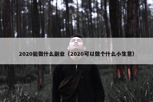 2020能做什么副业（2020可以做个什么小生意）