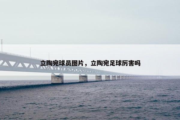 立陶宛球员图片，立陶宛足球厉害吗