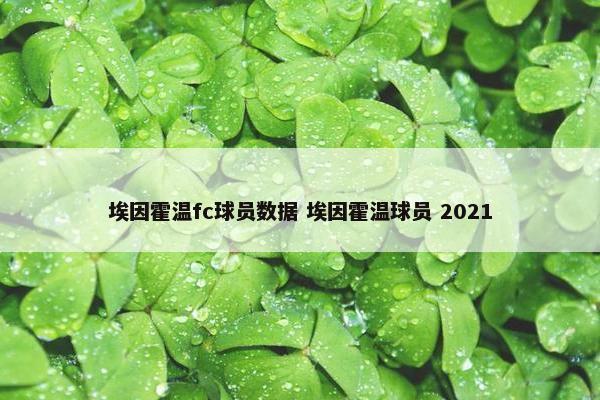 埃因霍温fc球员数据 埃因霍温球员 2021