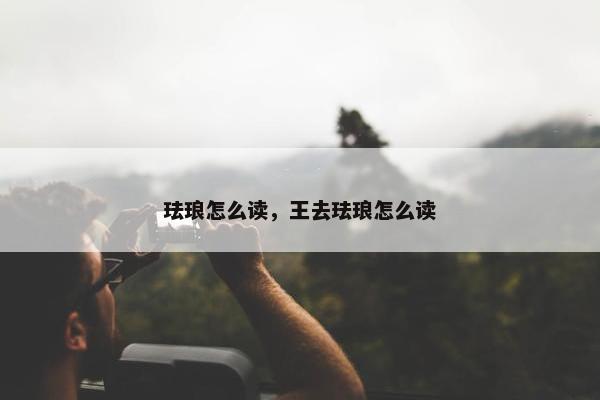 珐琅怎么读，王去珐琅怎么读