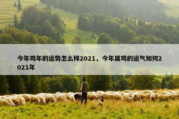 今年鸡年的运势怎么样2021，今年属鸡的运气如何2021年