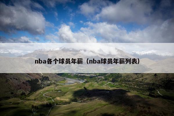 nba各个球员年薪（nba球员年薪列表）