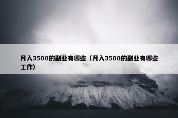 月入3500的副业有哪些（月入3500的副业有哪些工作）