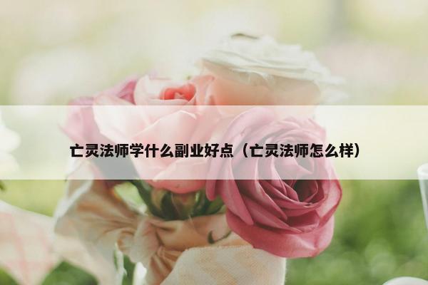 亡灵法师学什么副业好点（亡灵法师怎么样）