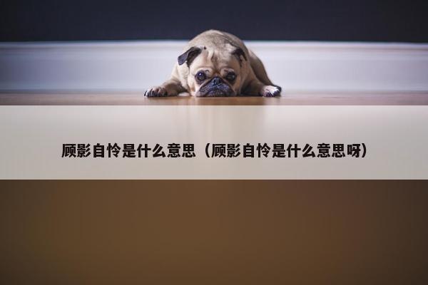 顾影自怜是什么意思（顾影自怜是什么意思呀）