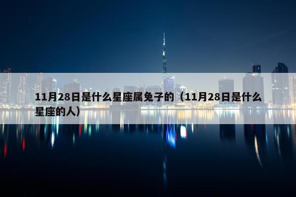 11月28日是什么星座属兔子的（11月28日是什么星座的人）