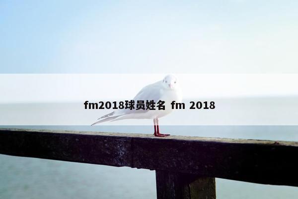 fm2018球员姓名 fm 2018
