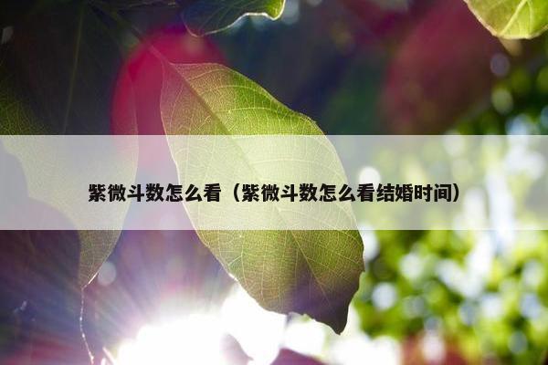 紫微斗数怎么看（紫微斗数怎么看结婚时间）