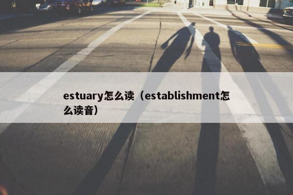 estuary怎么读（establishment怎么读音）