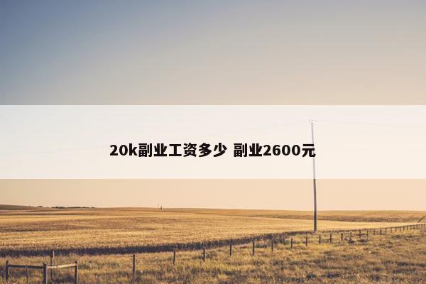 20k副业工资多少 副业2600元