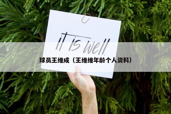 球员王维成（王维维年龄个人资料）