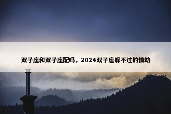 双子座和双子座配吗，2024双子座躲不过的情劫