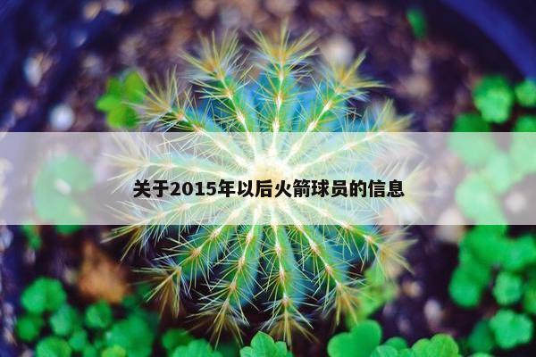 关于2015年以后火箭球员的信息