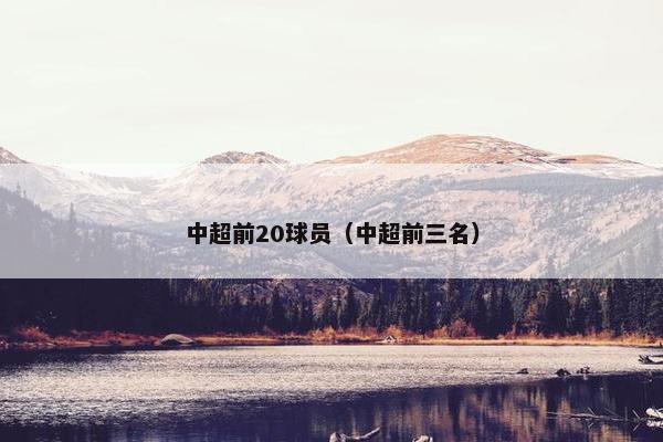 中超前20球员（中超前三名）