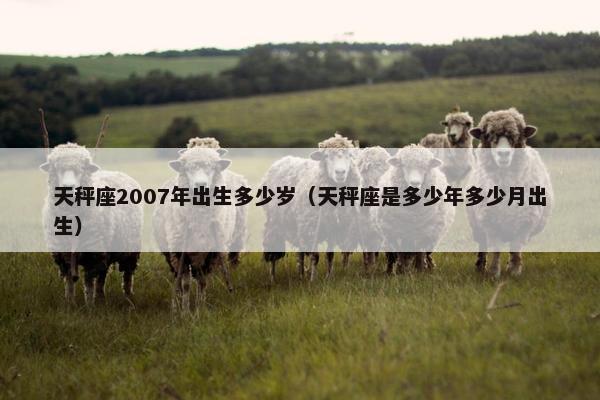 天秤座2007年出生多少岁（天秤座是多少年多少月出生）