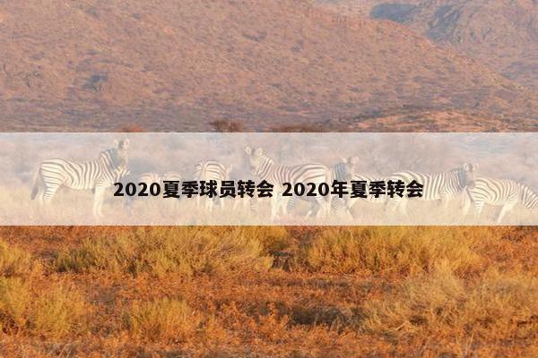 2020夏季球员转会 2020年夏季转会