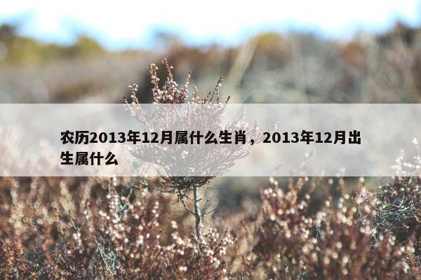 农历2013年12月属什么生肖，2013年12月出生属什么