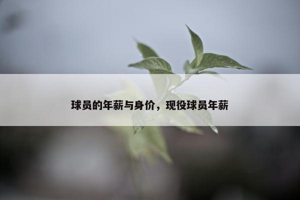 球员的年薪与身价，现役球员年薪