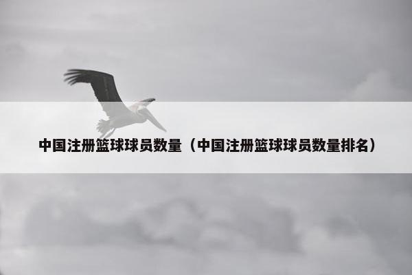 中国注册篮球球员数量（中国注册篮球球员数量排名）