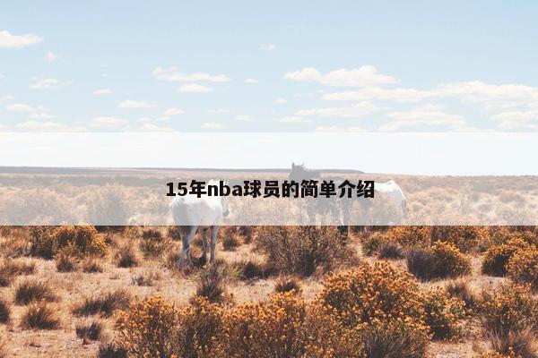 15年nba球员的简单介绍