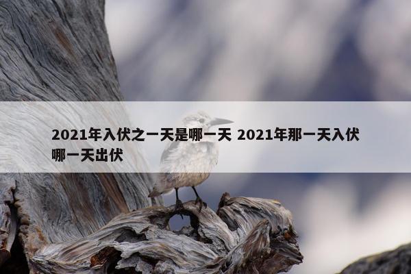 2021年入伏之一天是哪一天 2021年那一天入伏哪一天出伏