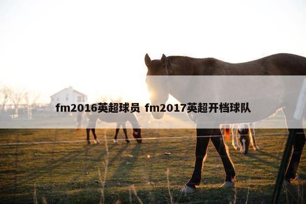 fm2016英超球员 fm2017英超开档球队