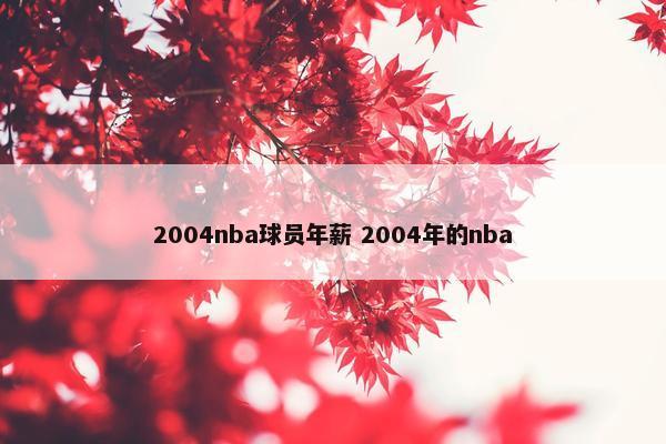 2004nba球员年薪 2004年的nba