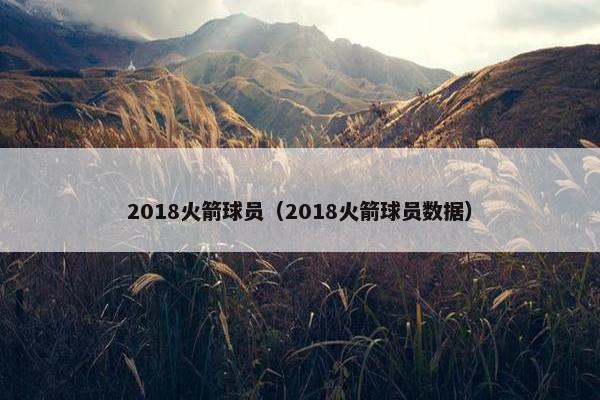 2018火箭球员（2018火箭球员数据）