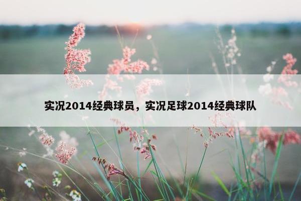 实况2014经典球员，实况足球2014经典球队