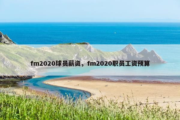 fm2020球员薪资，fm2020职员工资预算