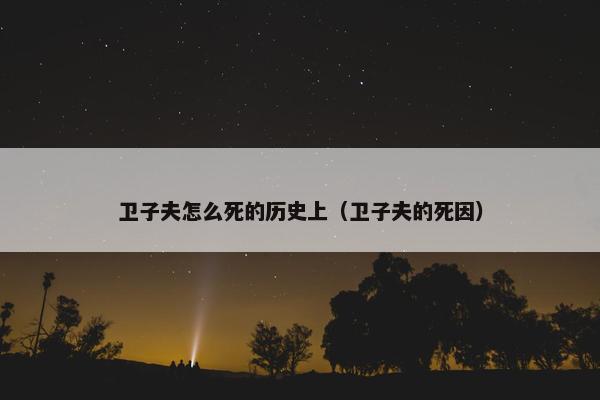 卫子夫怎么死的历史上（卫子夫的死因）