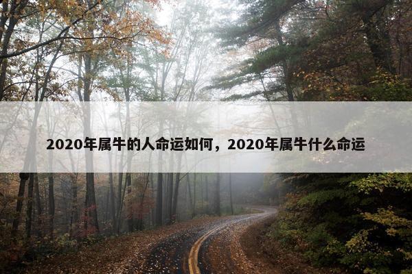 2020年属牛的人命运如何，2020年属牛什么命运