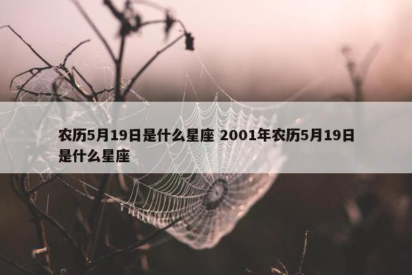 农历5月19日是什么星座 2001年农历5月19日是什么星座