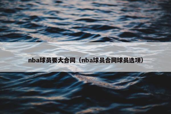 nba球员要大合同（nba球员合同球员选项）