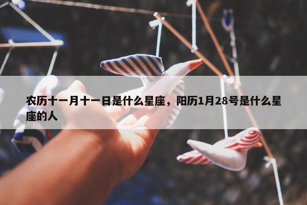 农历十一月十一日是什么星座，阳历1月28号是什么星座的人