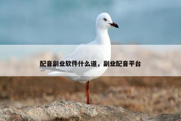 配音副业软件什么道，副业配音平台