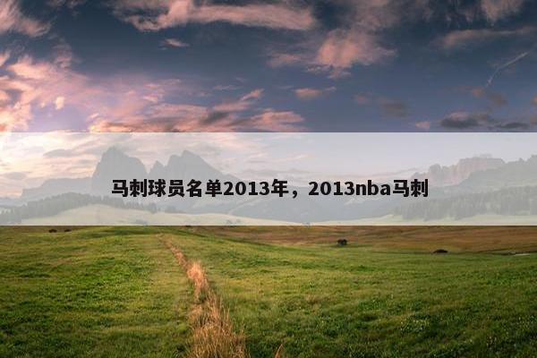 马刺球员名单2013年，2013nba马刺