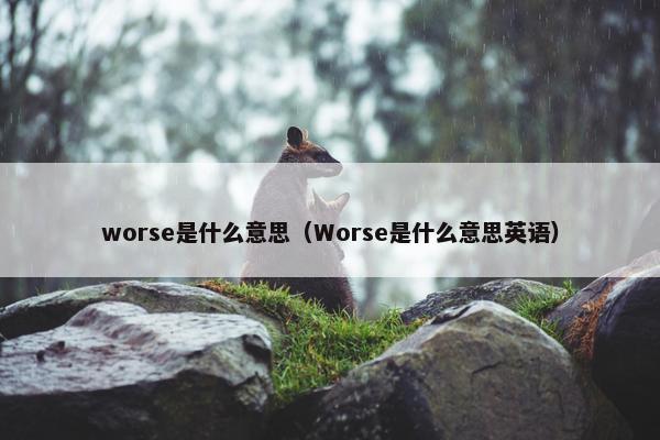 worse是什么意思（Worse是什么意思英语）