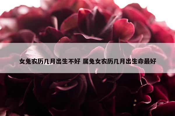 女兔农历几月出生不好 属兔女农历几月出生命最好