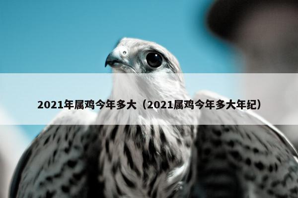 2021年属鸡今年多大（2021属鸡今年多大年纪）