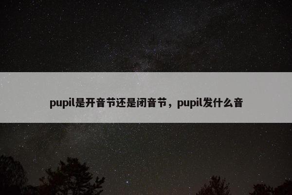 pupil是开音节还是闭音节，pupil发什么音