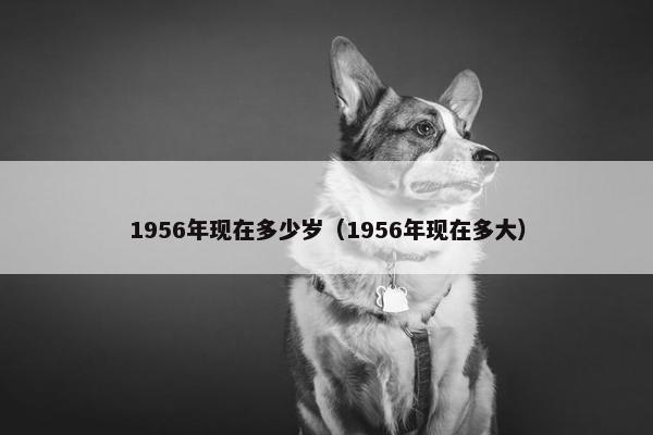 1956年现在多少岁（1956年现在多大）