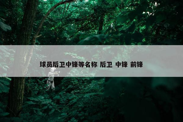 球员后卫中锋等名称 后卫 中锋 前锋